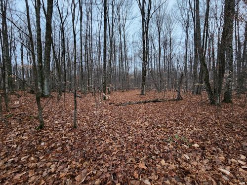 00 Woodline Rd Nw, Rapid City, MI, 49676 | Card Image