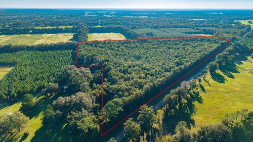 TBD 00 Nw County Road 339, TRENTON, FL, 32693 | Card Image