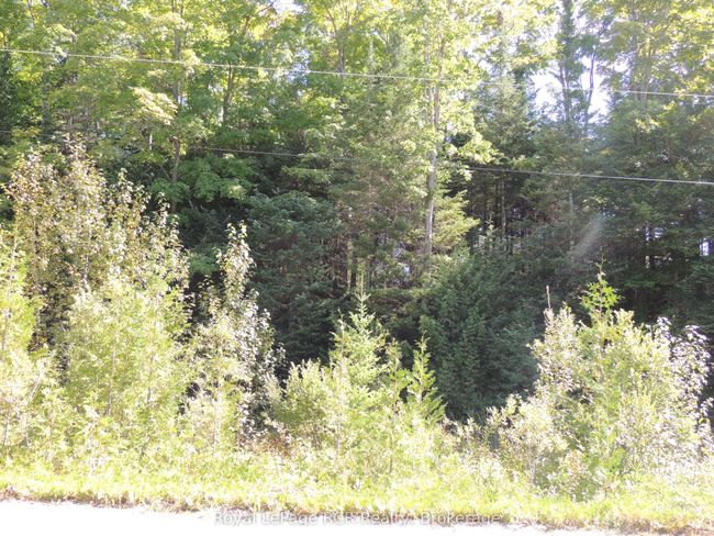 LT 35 Highland Dr, Home with 0 bedrooms, 0 bathrooms and null parking in Markdale ON | Image 7