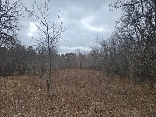 TBD 288th Ave Avenue Nw, Zimmerman, MN, 55398 | Card Image