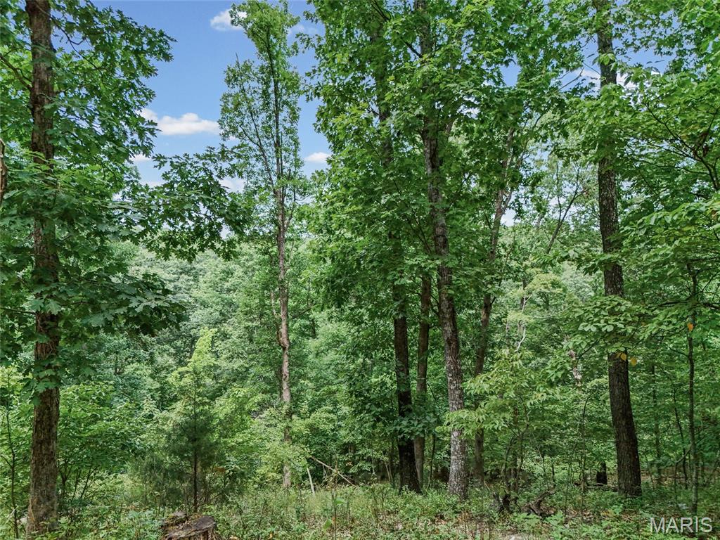Land in Barnhart 4