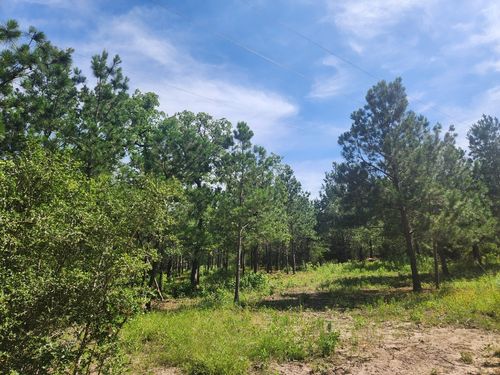 124 Paintbrush Ln, Bastrop, TX, 78602-5708 | Card Image