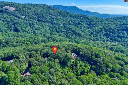 10 Northslope View Dr, Landrum, SC, 29356-3007 | Card Image