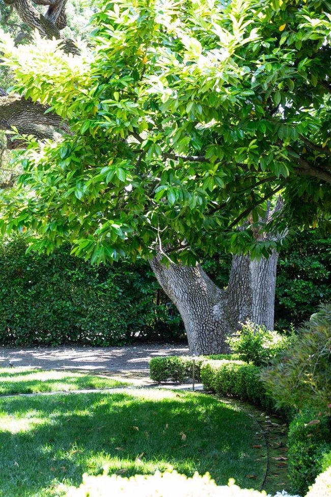 99 James Ave, House other with 5 bedrooms, 7 bathrooms and 3 parking in Atherton CA | Image 28