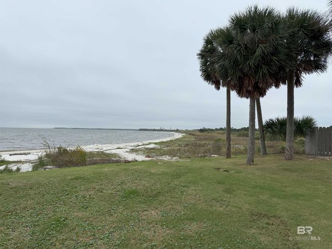 A wonderful exploratory walk for the family | Image 28