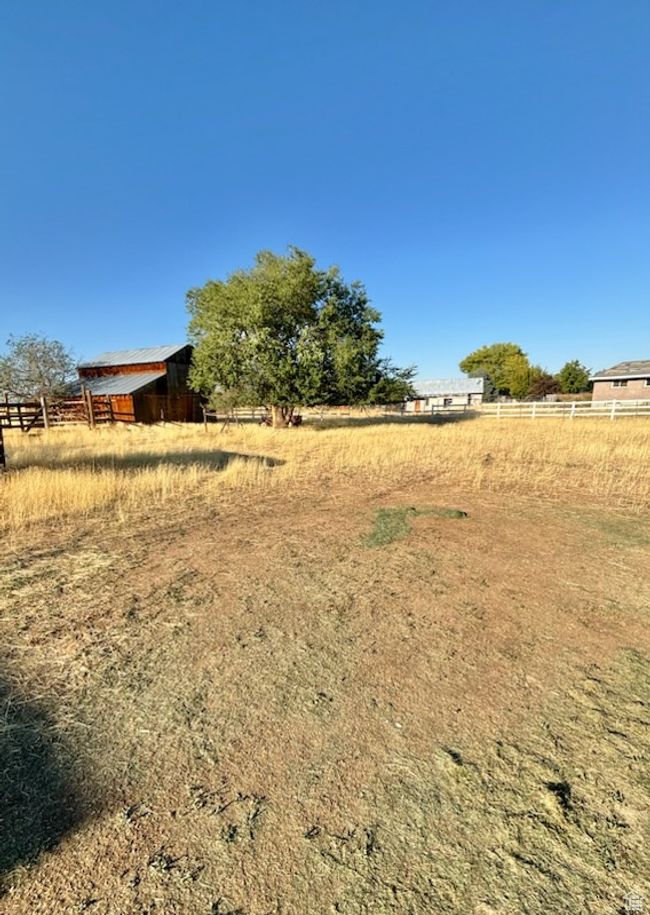View of yard featuring a barn and coral | Image 71