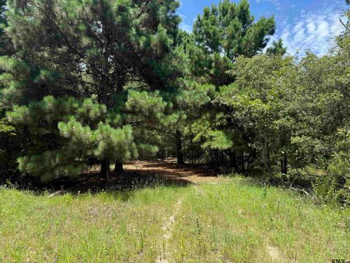 2008 County Road 3230, Quitman, TX, 75783 | Card Image
