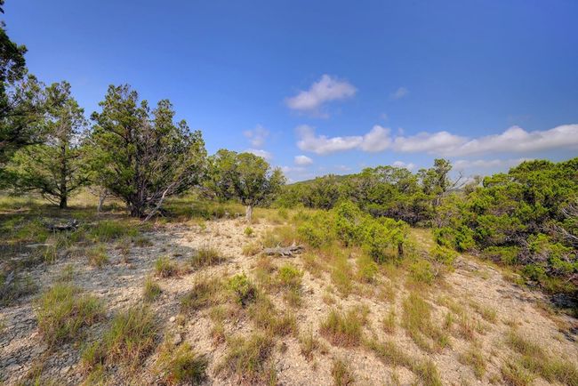 RMKS - 129 & 130 W Lynx Cv, Home with 0 bedrooms, 0 bathrooms and null parking in Blanco TX | Image 17