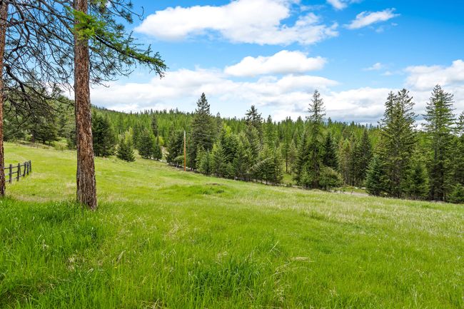 Open field area ideal for animals, offering plenty of space to roam and graze | Image 45