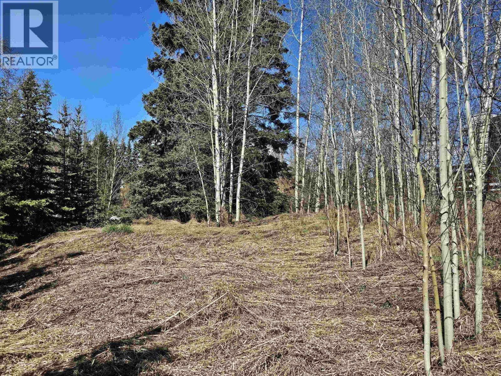 Land in Burns Lake 2