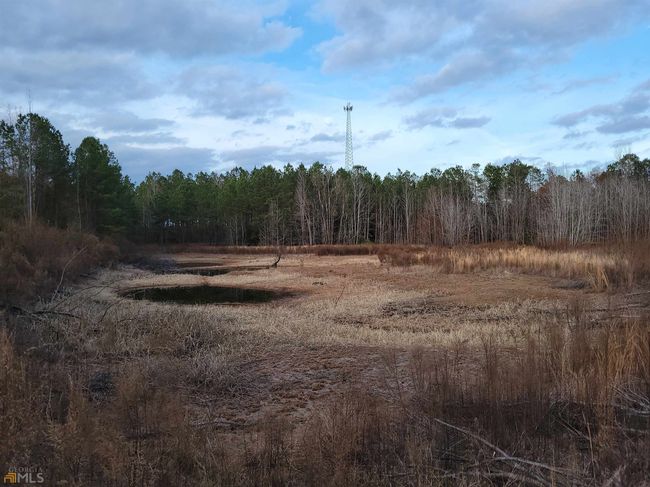 2757 Us Highway 1 N, Home with 0 bedrooms, 0 bathrooms and null parking in swainsboro GA | Image 20