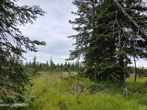 L17 Marik St, Anchor Point, AK, 99556 | Card Image