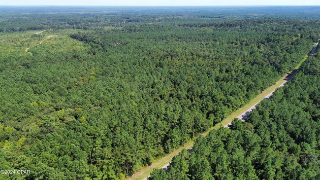 00 Knox Hill Rd, Home with 0 bedrooms, 0 bathrooms and null parking in Ponce De Leon FL | Image 8
