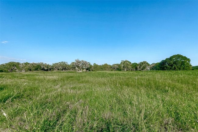 1427 Frontier Trl, Home with 0 bedrooms, 0 bathrooms and null parking in Angleton TX | Image 8