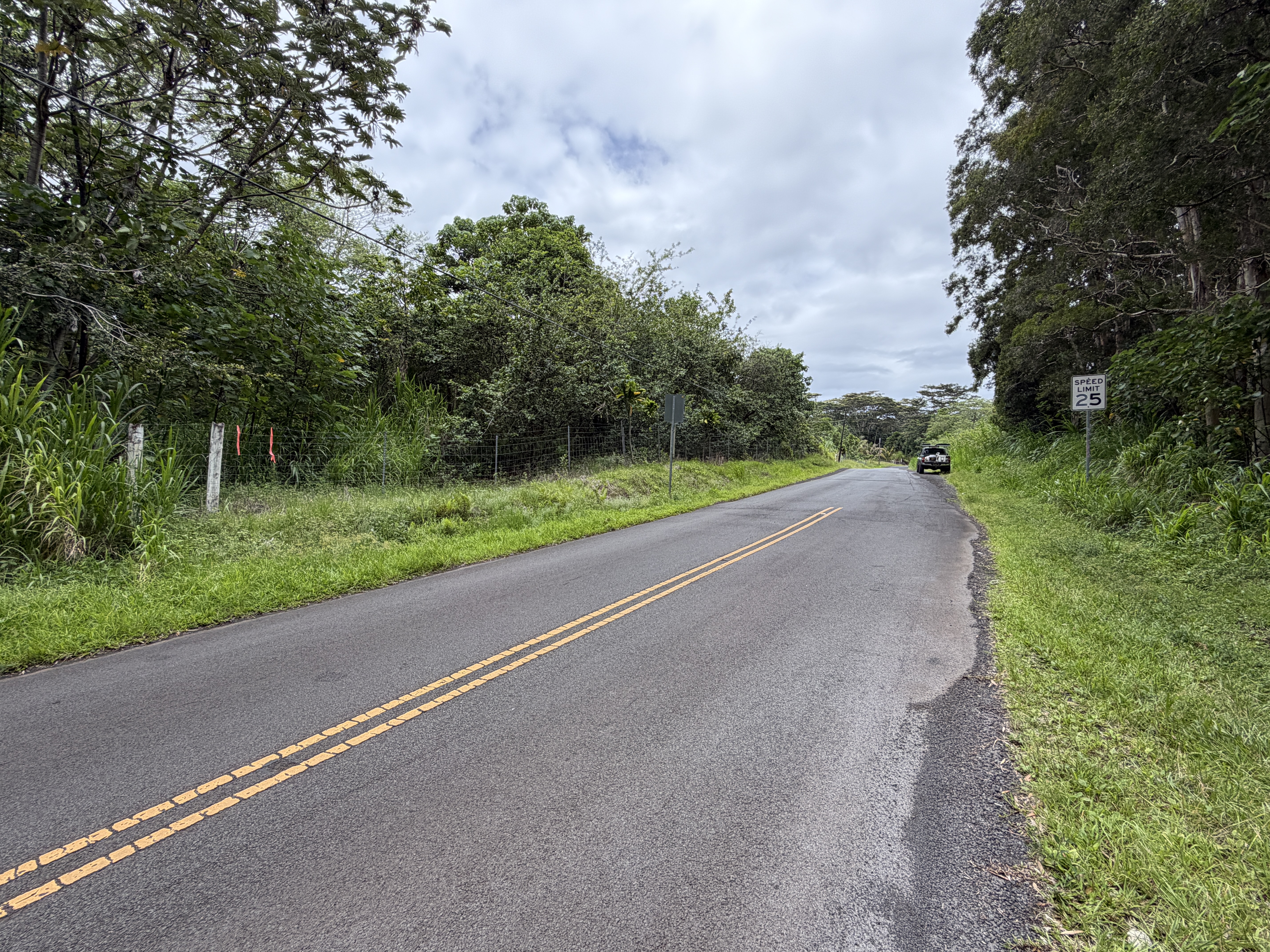Land in Pahoa