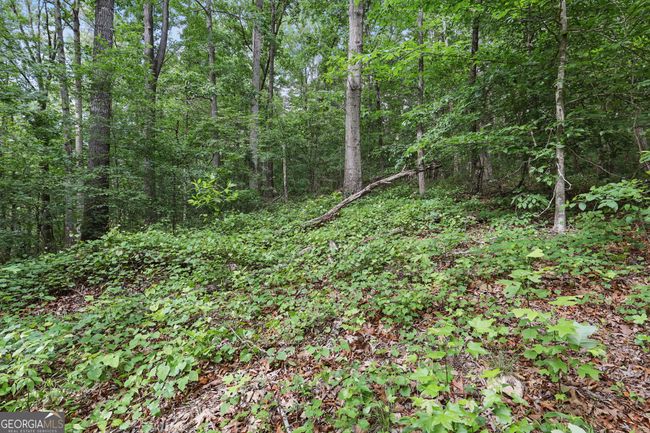 15 - 1323 Seven Forks Rd, Home with 0 bedrooms, 0 bathrooms and null parking in Martin GA | Image 8