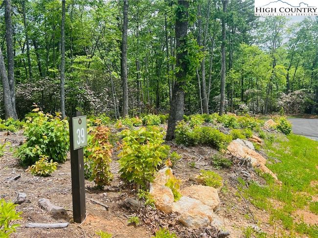 39 Wildcat Wilderness Reserve Parkway, Home with 0 bedrooms, 0 bathrooms and null parking in Deep Gap NC | Image 8