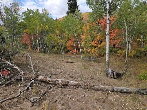 k30-30 Deer Valley Dr, Fairview, UT, 84629 | Card Image