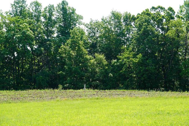 E3474 Garvey Rd, Home with 0 bedrooms, 0 bathrooms and null parking in PLAIN WI | Image 34