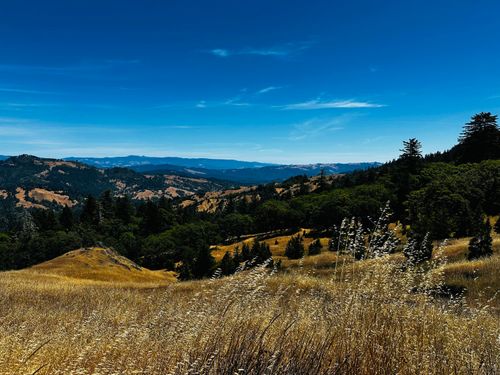 3802 Thomas Rd, Miranda, CA, 95553-9208 | Card Image