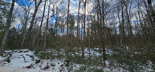 Lot 82 Perry Pond Rd, Narrowsburg, NY, 12764-5252 | Card Image