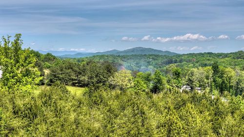 1 Tom Boyd Rd, Blue Ridge, GA, 30513-3647 | Card Image