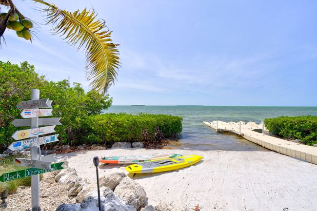 Beach | Image 37