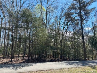 Lot 15 Chick Cove Drive, Home with 0 bedrooms, 0 bathrooms and null parking in Hardyville VA | Image 3