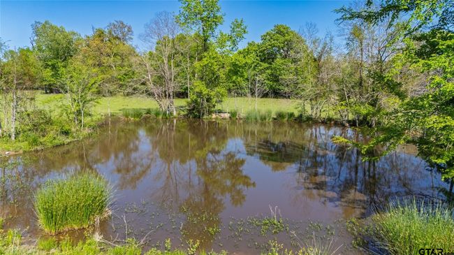 72 Acres N Farm Road 900, Home with 0 bedrooms, 0 bathrooms and null parking in Saltillo TX | Image 5