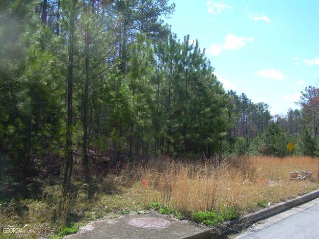 LOT-6 - 0 Shawnee Trl, Home with 0 bedrooms, 0 bathrooms and null parking in Dallas GA | Image 10
