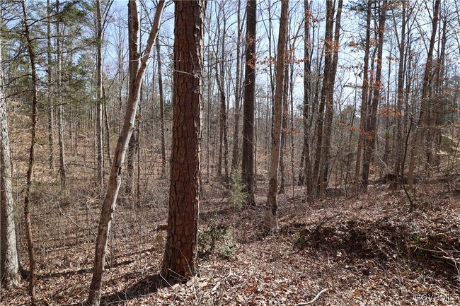 0 Golf Course Rd, Home with 0 bedrooms, 0 bathrooms and null parking in Halifax VA | Image 43