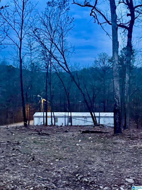 135 Big Chief Rd, OHATCHEE, AL, 36271-6080 | Card Image