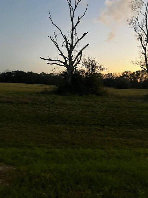 1007 Chuckwagon Trl, Angleton, TX, 77515 | Card Image