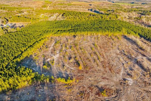 000 Maple St, Salley, SC, 29137 | Card Image