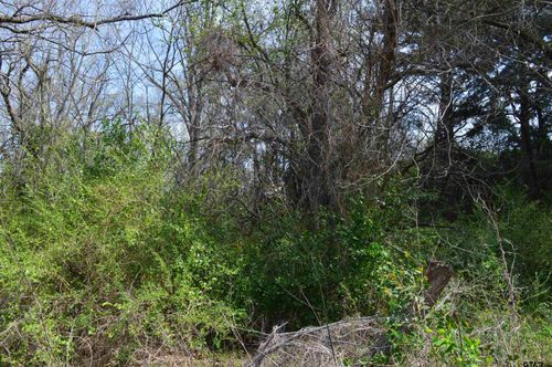 704 Duckenfield Ave, Tyler, TX, 75701 | Card Image