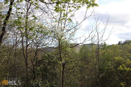 36-0 Shadow Mountain Dr, Dillard, GA, 30537 | Card Image