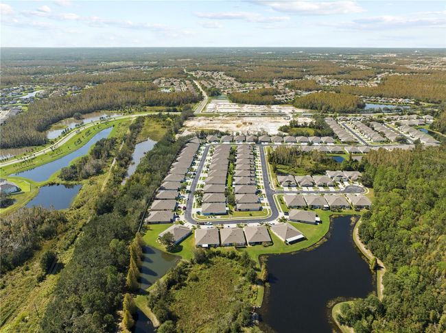 31932 Stillmeadow Dr, House other with 3 bedrooms, 2 bathrooms and null parking in WESLEY CHAPEL FL | Image 34