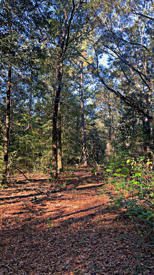 8092 Highway 393, Laurel Hill, FL, 32567-2528 | Card Image