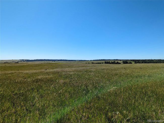 4 County Road 142, Home with 0 bedrooms, 0 bathrooms and null parking in Kiowa CO | Image 17
