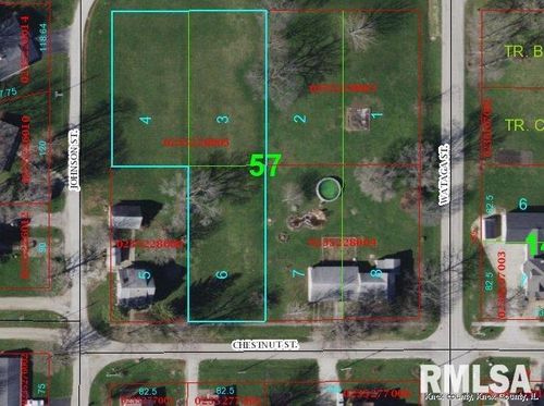 0 W Chestnut St, Oneida, IL, 61467 | Card Image