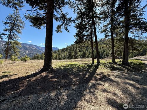 0 Coogan Creek Road, Wauconda, WA, 98859 | Card Image