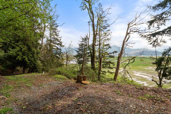 47360 Mountain Park Drive, House other with 4 bedrooms, 3 bathrooms and 4 parking in Chilliwack BC | Image 39