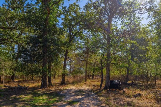 3597 Baker Rd, Home with 0 bedrooms, 0 bathrooms and null parking in Kingsbury TX | Image 13