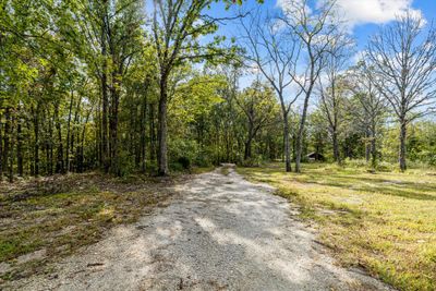 wall road driveway | Image 3