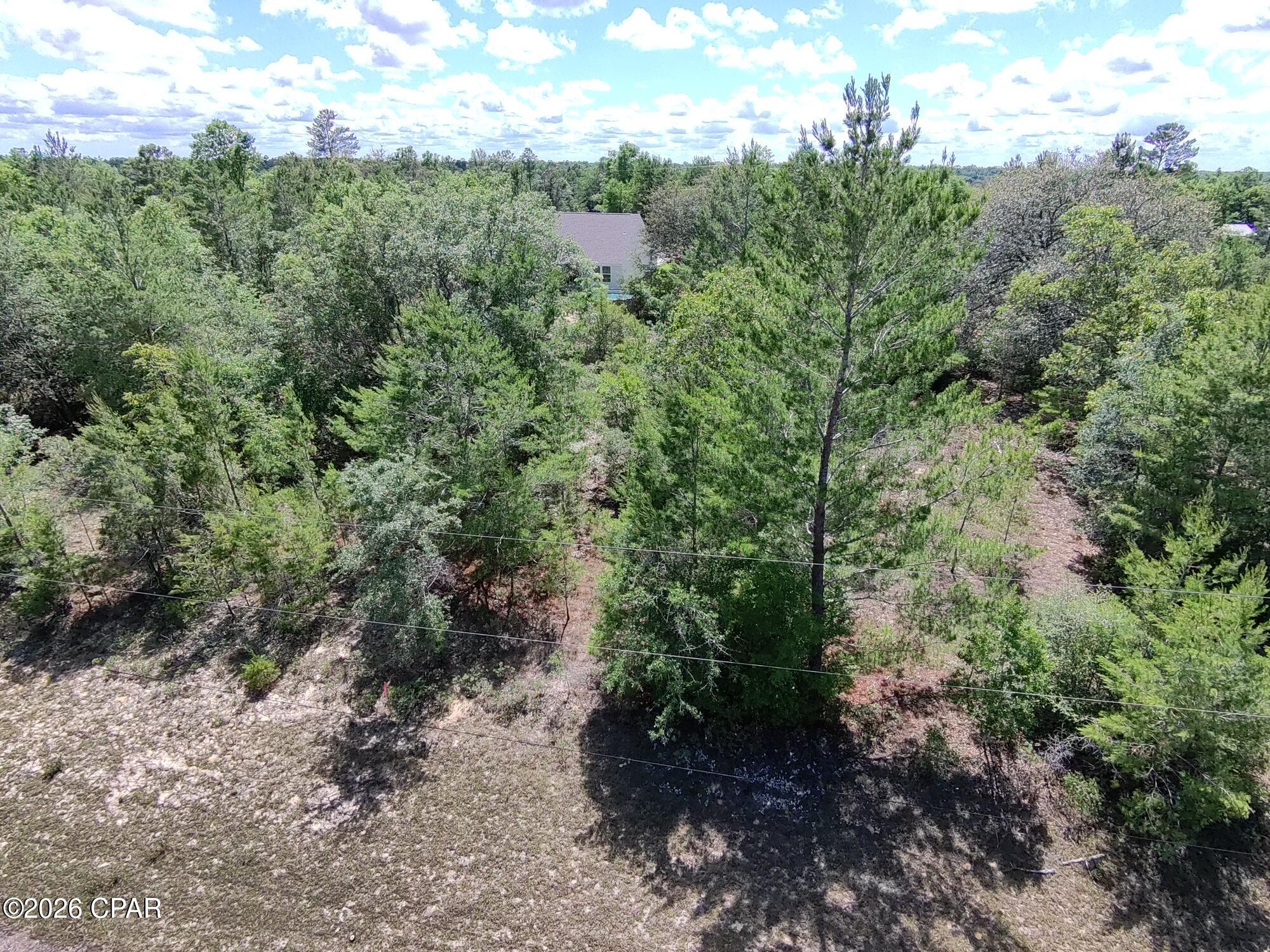 Land in Chipley 2