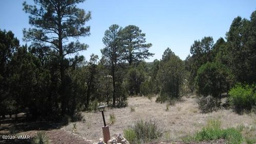 2223 Fairway Dr, Overgaard, AZ, 85933-3502 | Card Image