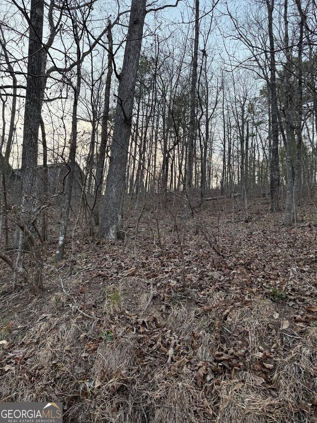 0 Luther Dr, Home with 0 bedrooms, 0 bathrooms and null parking in WEDOWEE AL | Image 8