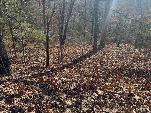 251 Shepard Ln, Pacific, MO, 63069-4107 | Card Image