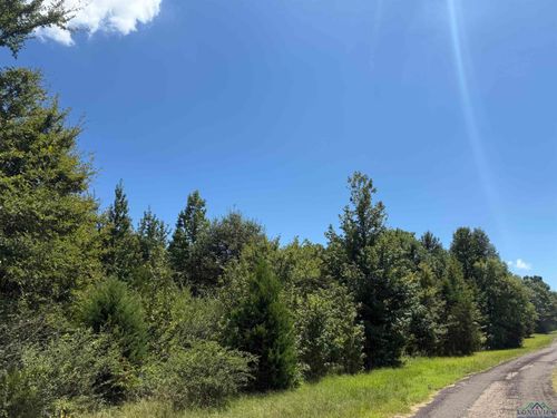 TBD Cr 1663, Mount Pleasant, TX, 75455 | Card Image