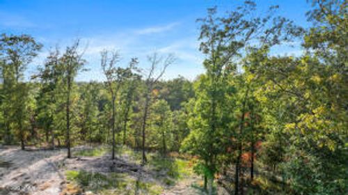 Lot 11 Wilshire Blvd, Pineville, MO, 64856 | Card Image